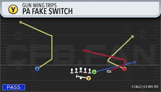 PA FAKE SWITCH