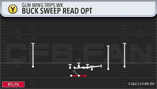 BUCK SWEEP READ OPT