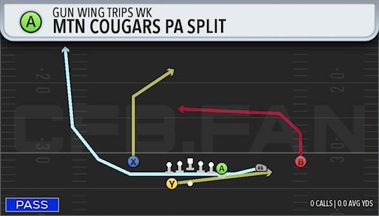 MTN COUGARS PA SPLIT