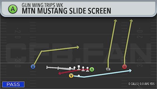 MTN MUSTANG SLIDE SCREEN