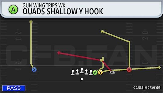QUADS SHALLOW Y HOOK