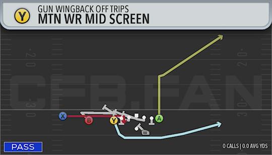 MTN WR MID SCREEN