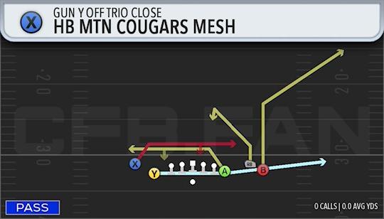 HB MTN COUGARS MESH