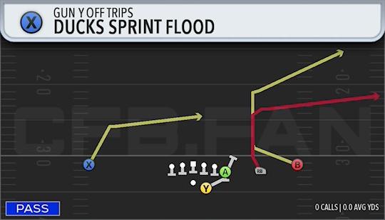 DUCKS SPRINT FLOOD