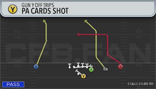 PA CARDS SHOT