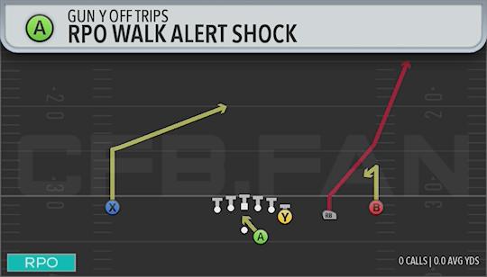RPO WALK ALERT SHOCK