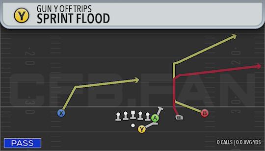 SPRINT FLOOD