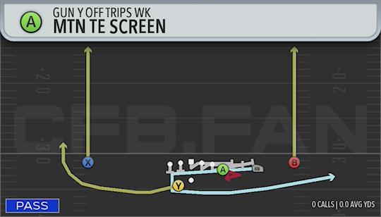 MTN TE SCREEN