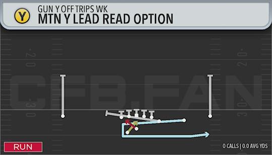 MTN Y LEAD READ OPTION