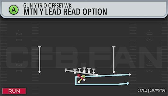 MTN Y LEAD READ OPTION