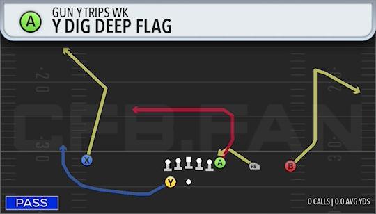 Y DIG DEEP FLAG