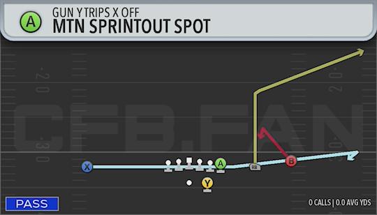 MTN SPRINTOUT SPOT