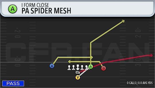 PA SPIDER MESH