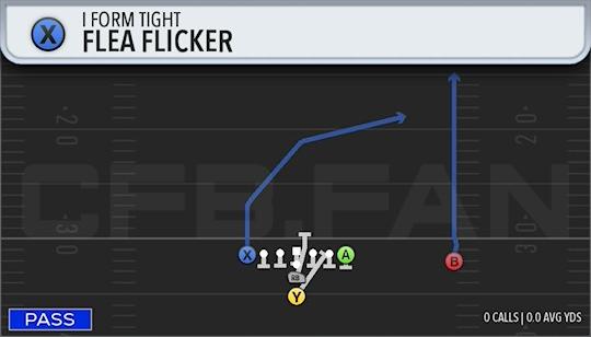 FLEA FLICKER