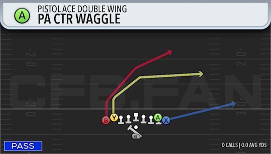 PA CTR WAGGLE