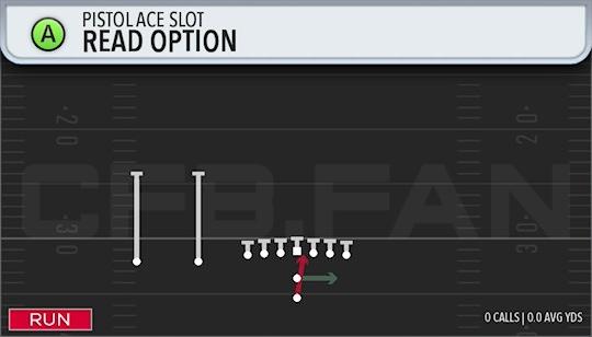 READ OPTION