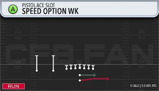 SPEED OPTION WK