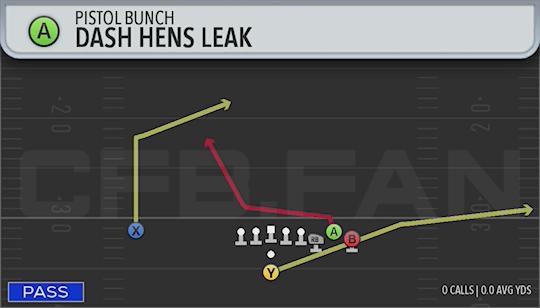 DASH HENS LEAK