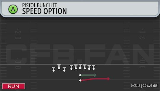 SPEED OPTION