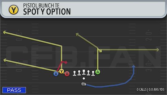 SPOT Y OPTION