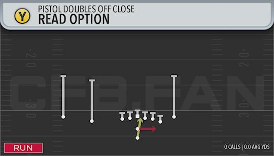 READ OPTION