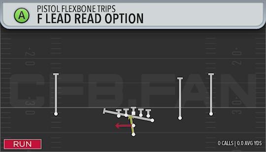 F LEAD READ OPTION