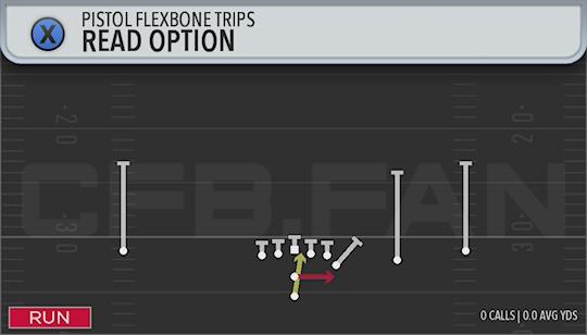 READ OPTION