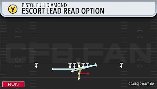 ESCORT LEAD READ OPTION