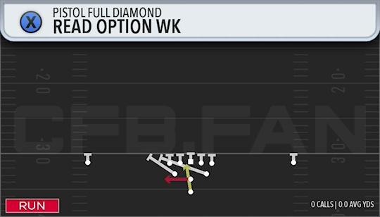 READ OPTION WK