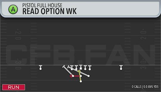 READ OPTION WK