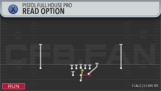 READ OPTION
