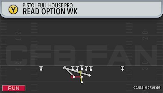 READ OPTION WK