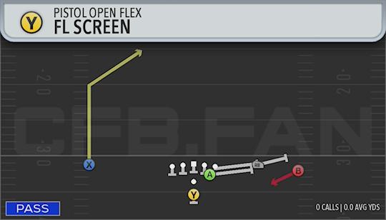 FL SCREEN