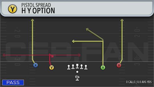 H Y OPTION