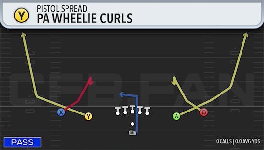 PA WHEELIE CURLS