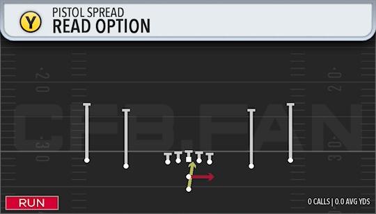 READ OPTION