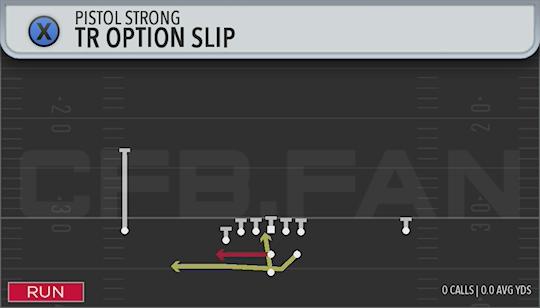 TR OPTION SLIP