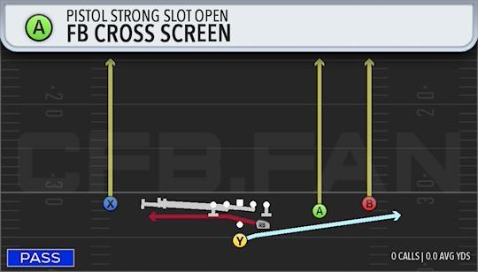 FB CROSS SCREEN