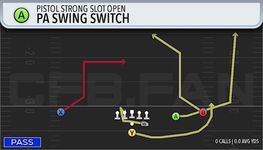 PA SWING SWITCH