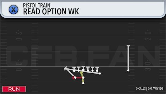 READ OPTION WK