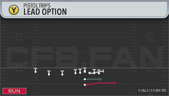 LEAD OPTION
