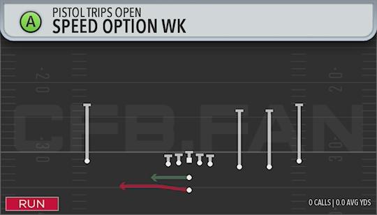 SPEED OPTION WK