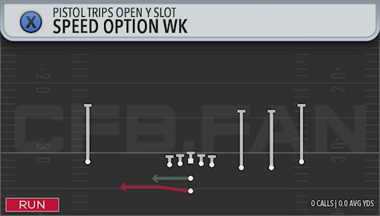 SPEED OPTION WK