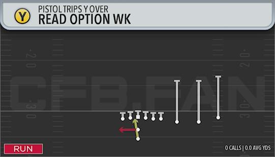 READ OPTION WK