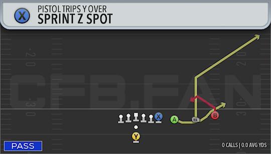 SPRINT Z SPOT