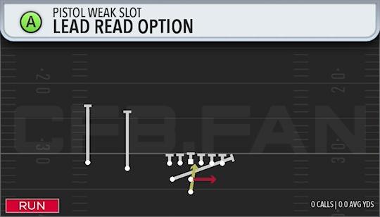 LEAD READ OPTION