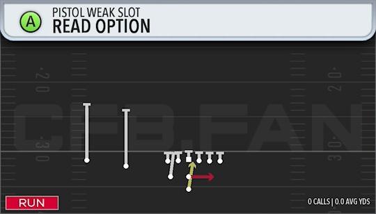 READ OPTION