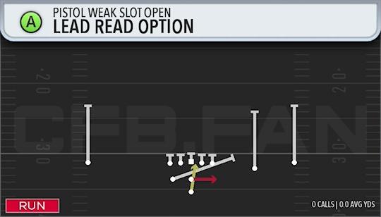 LEAD READ OPTION