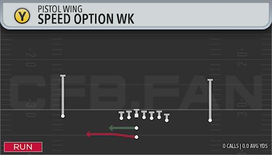 SPEED OPTION WK