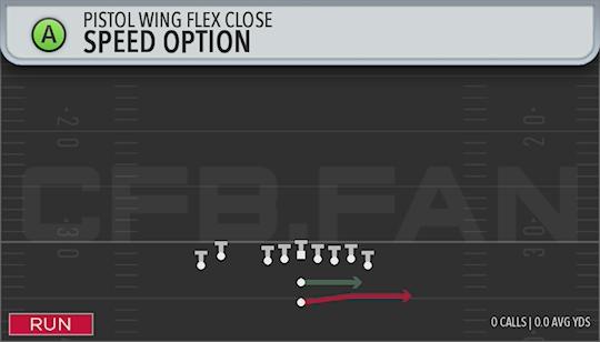 SPEED OPTION